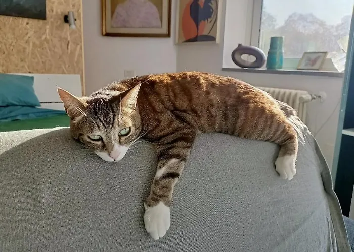 Bed and Breakfast Casa di Stefy Sant'Orsola Bologna